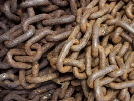 The Great Mexican Food Revolution: Why the Old Chains Are Collapsing and What Comes Next