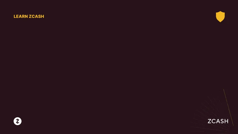 Zcash's Quantum Resistance vs. Bitcoin's Privacy Concerns: What Reddit Thinks